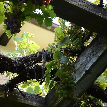 Pian Del Bosco 3* Novafeltria